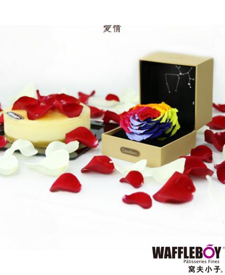 愛的表白