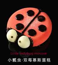 小瓢蟲